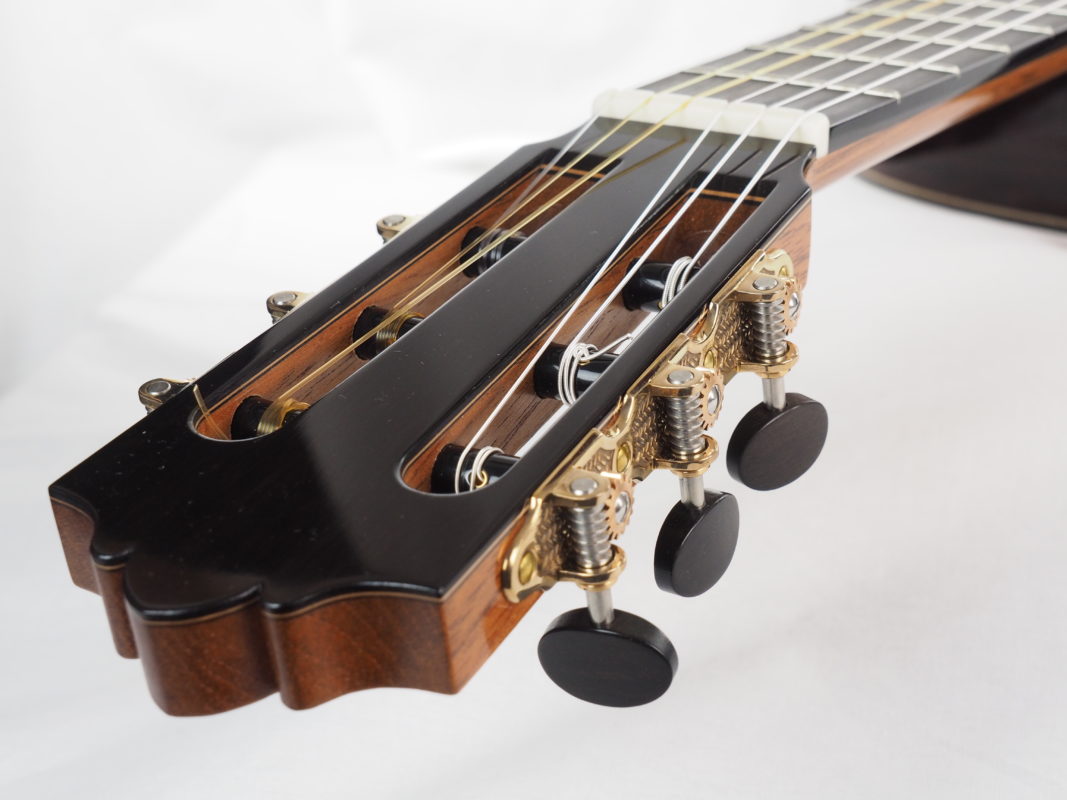 Classical concert guitar