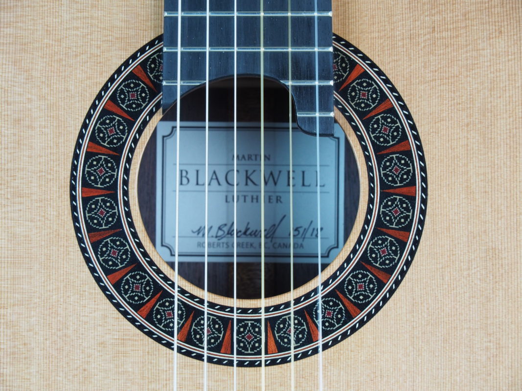 Classical concert guitar