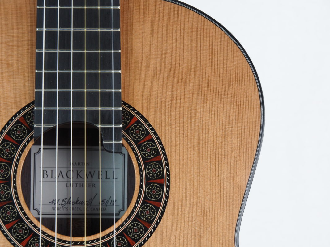 Classical concert guitar