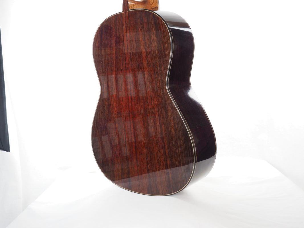 Classical concert guitar