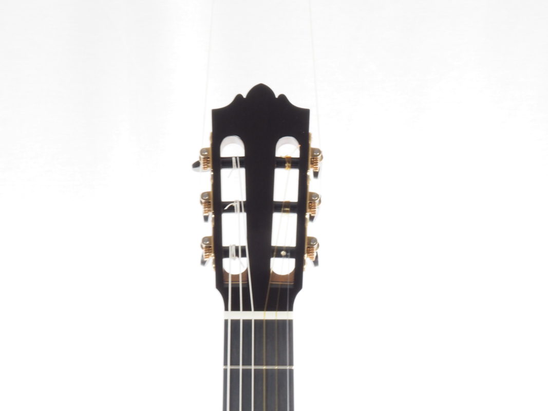 Classical concert guitar