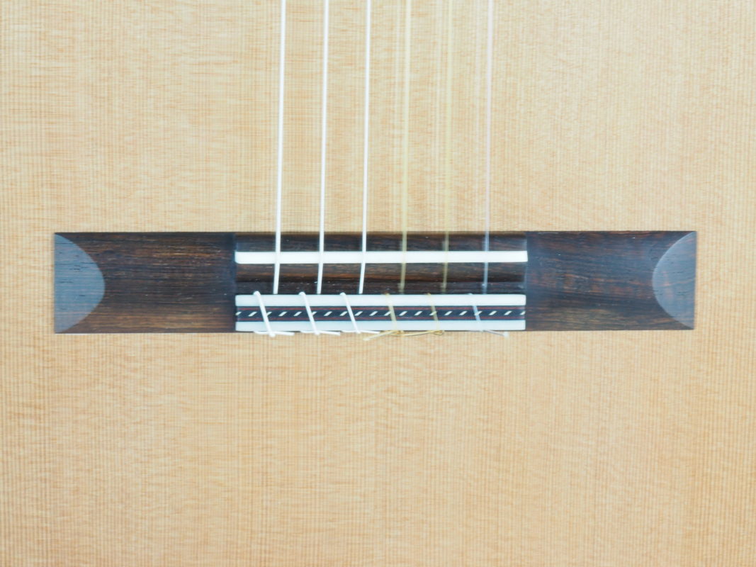 Classical concert guitar