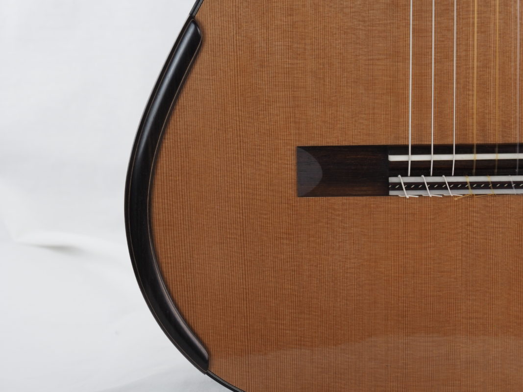 Classical concert guitar