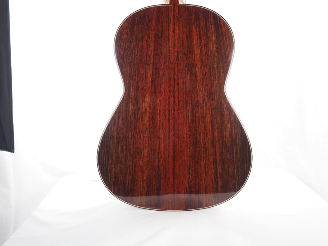 Classical concert guitar