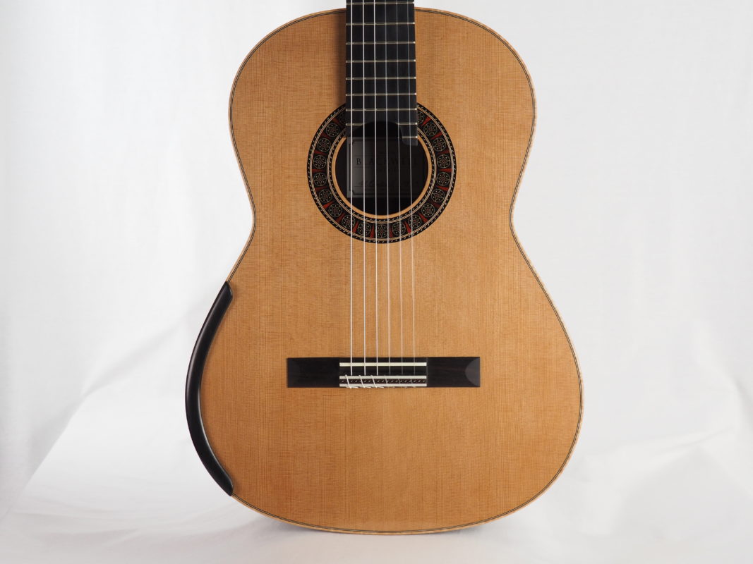 Classical concert guitar