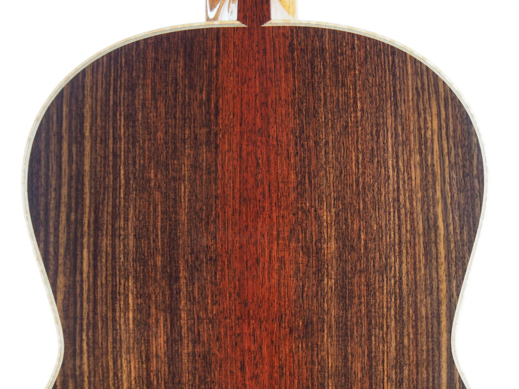 Classical concert guitar