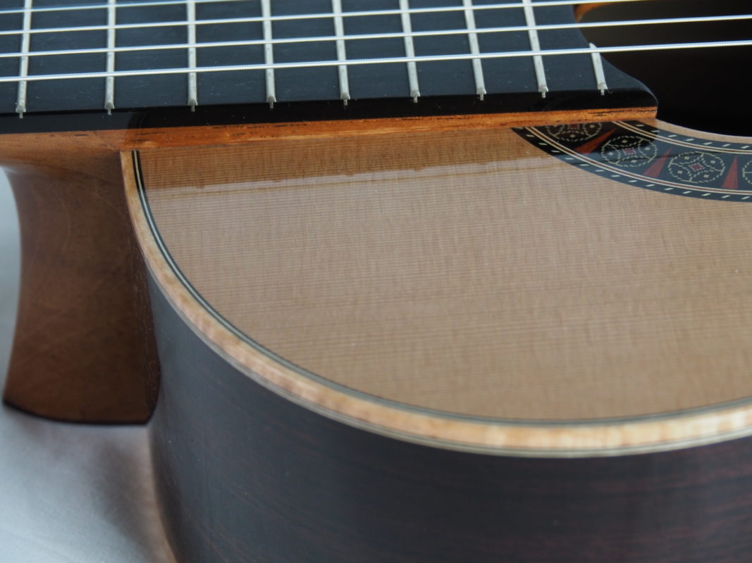 Classical concert guitar