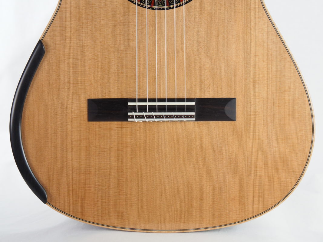 Classical concert guitar