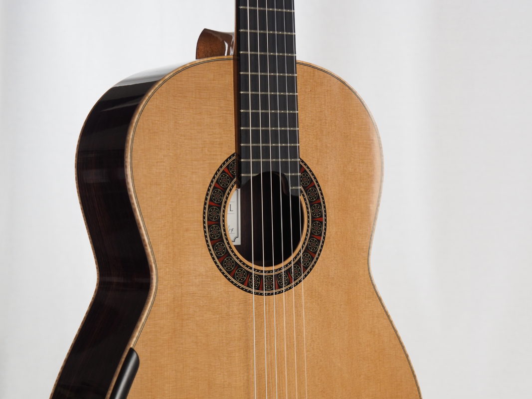 Classical concert guitar