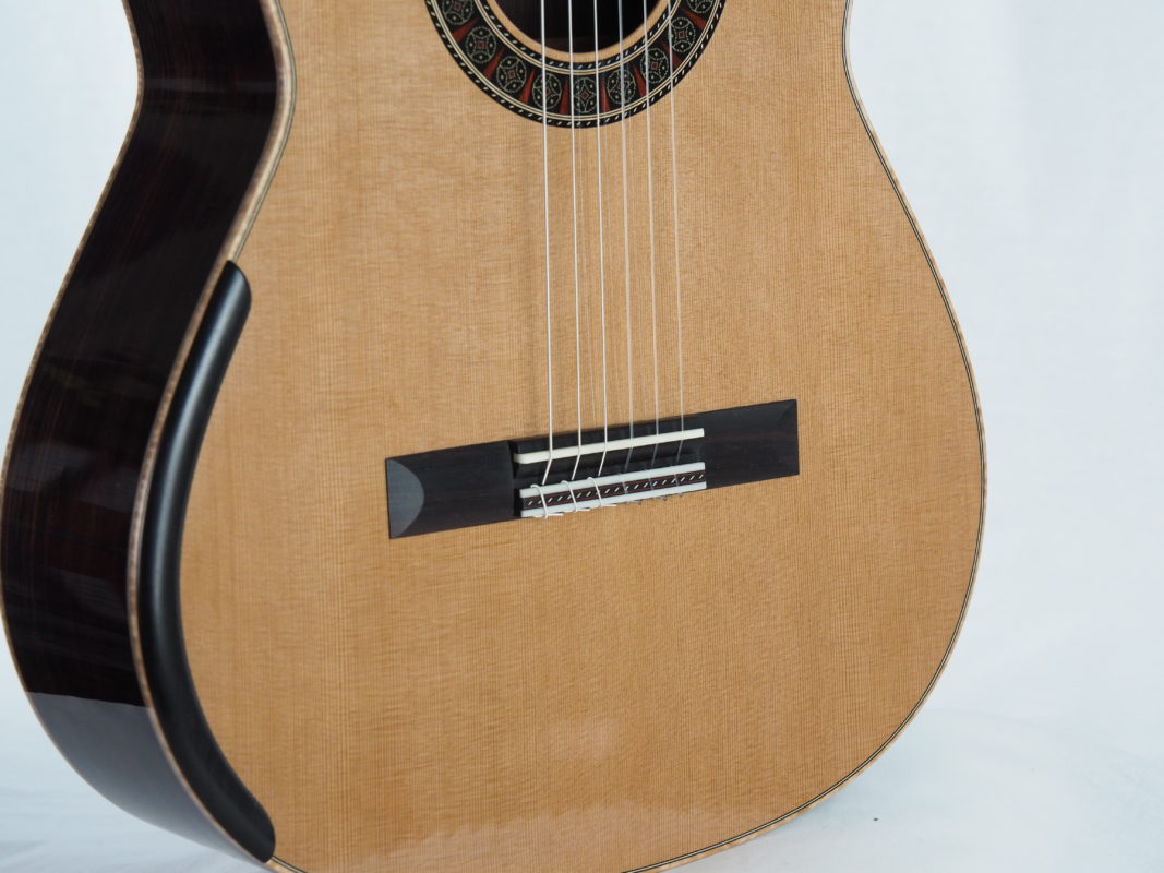 Classical concert guitar