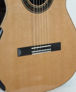 Luthier Martin Blackwell classical guitar