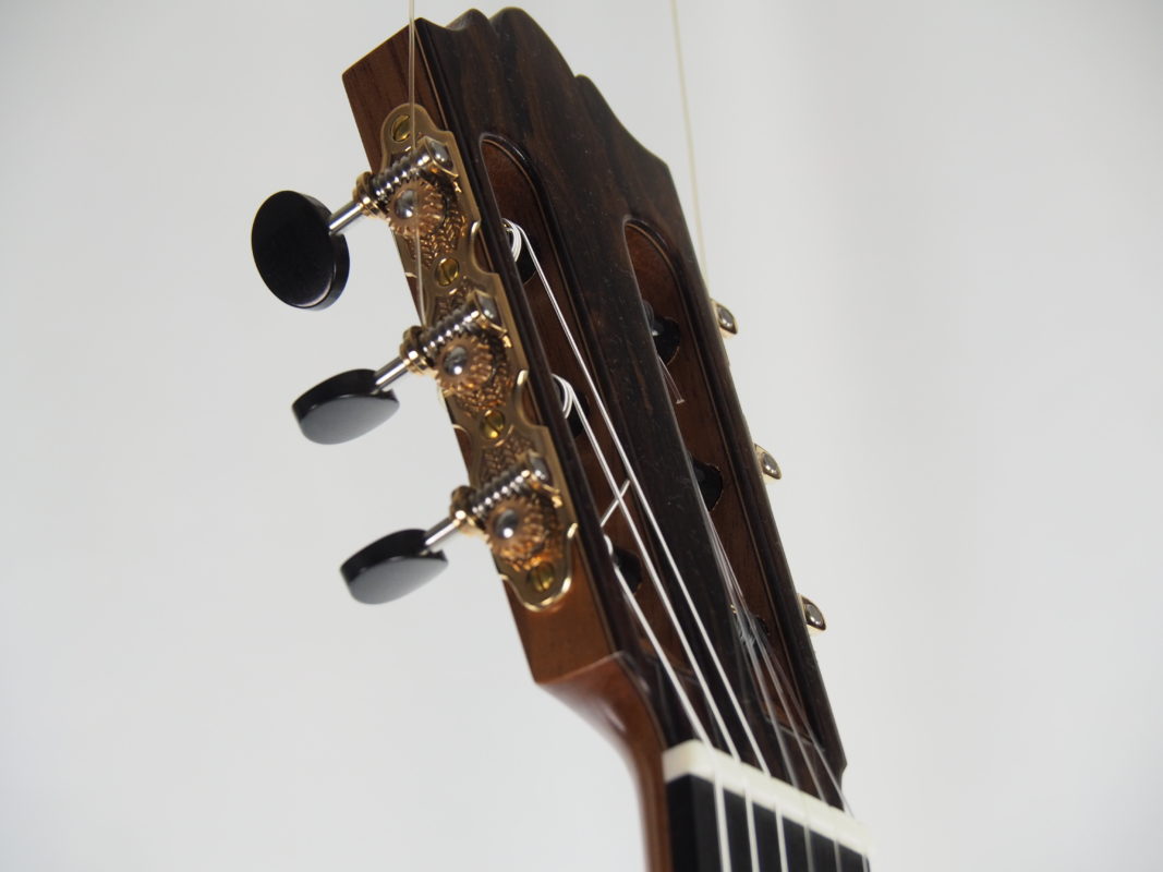 Classical concert guitar