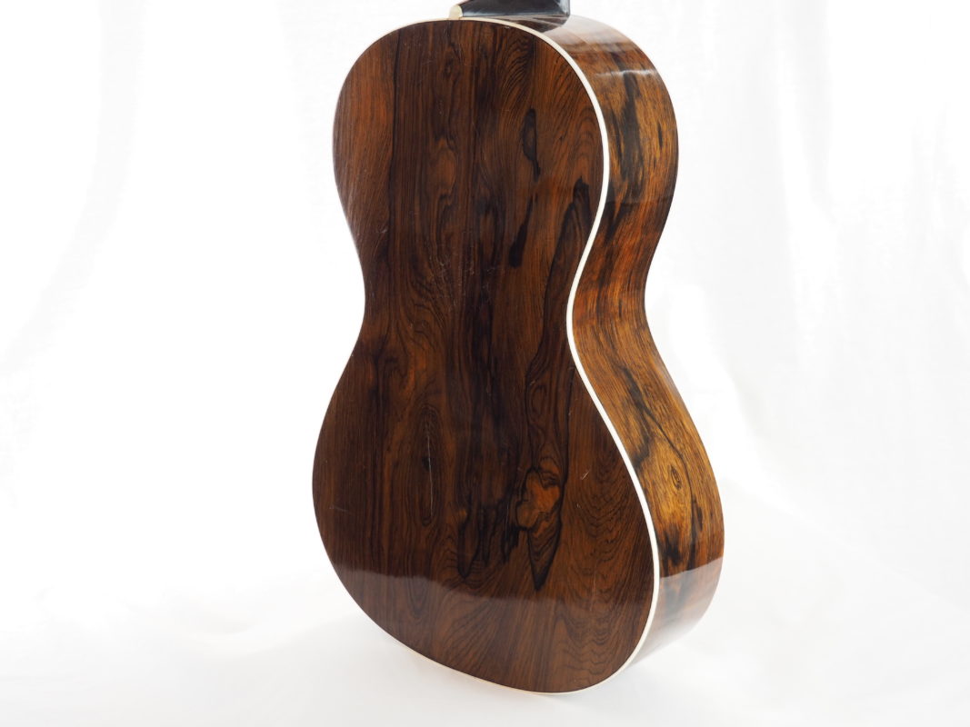 Classical concert guitar