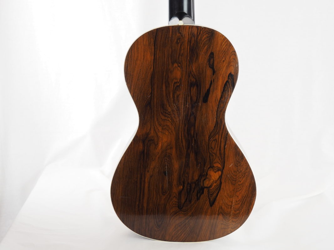 Classical concert guitar