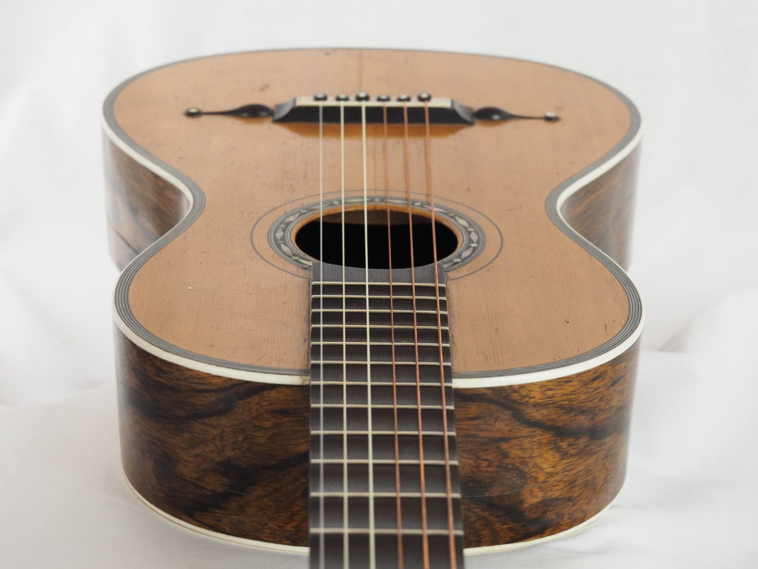 Classical concert guitar