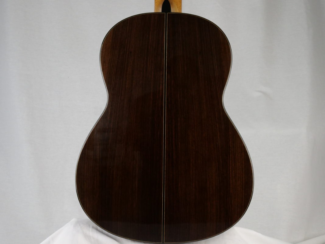 Classical concert guitar