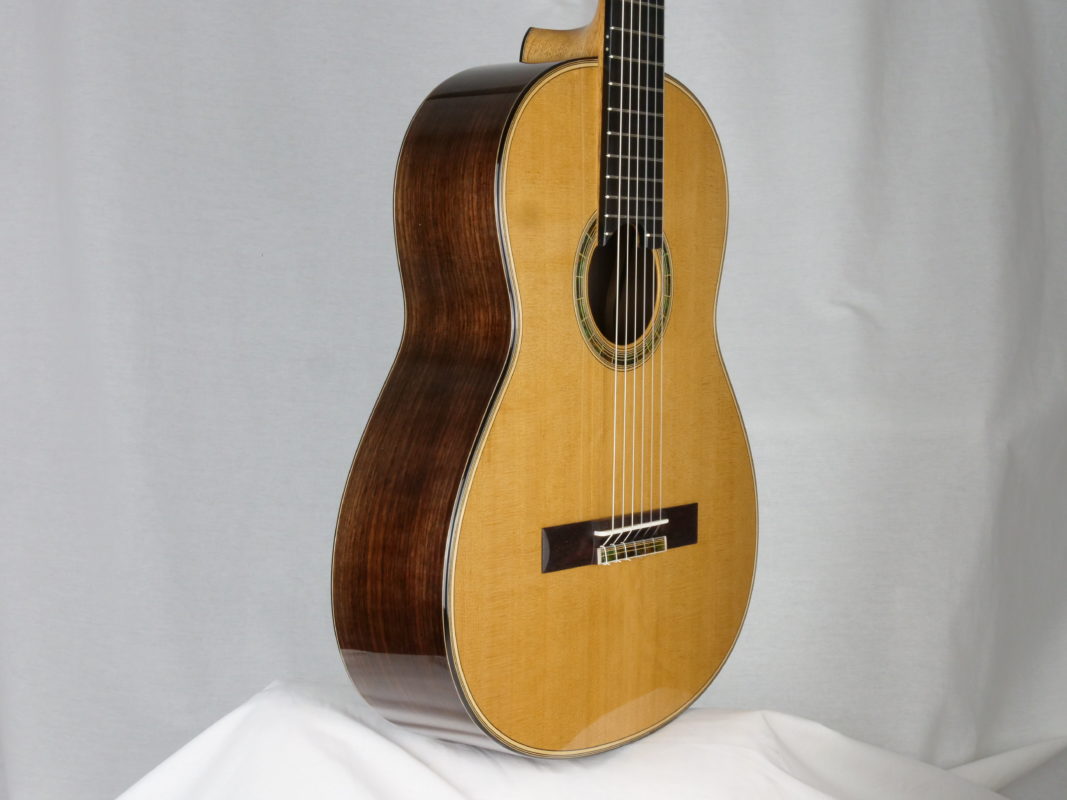 Classical concert guitar