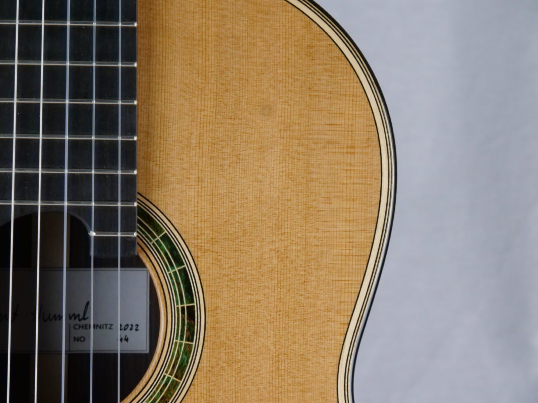 Classical concert guitar