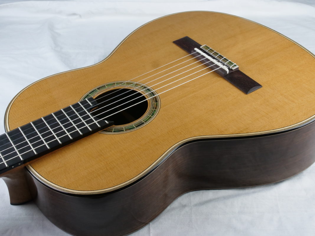 Classical concert guitar