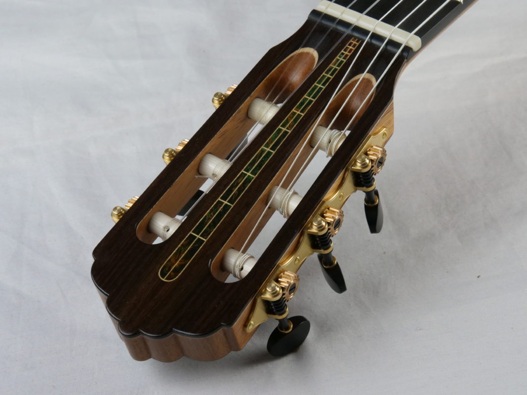 Classical concert guitar