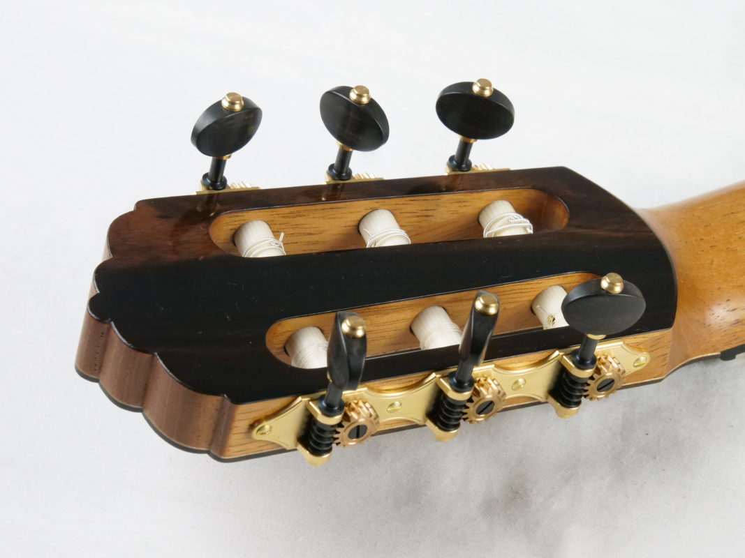 Classical concert guitar