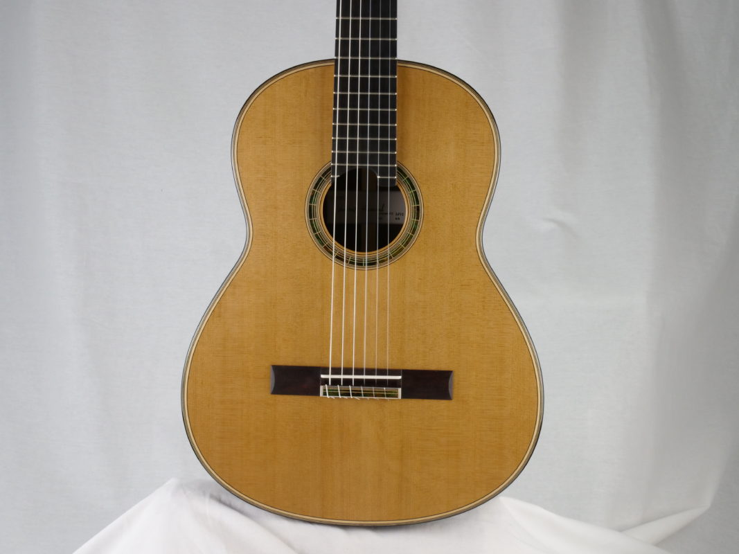 Classical concert guitar