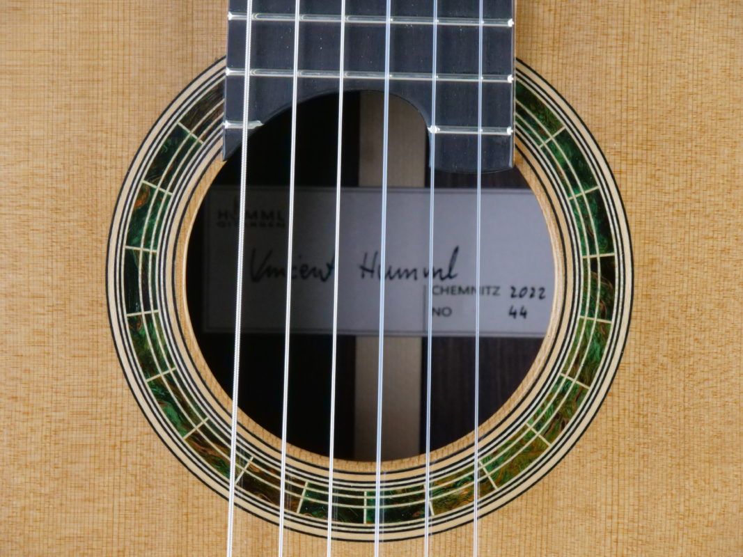Classical concert guitar