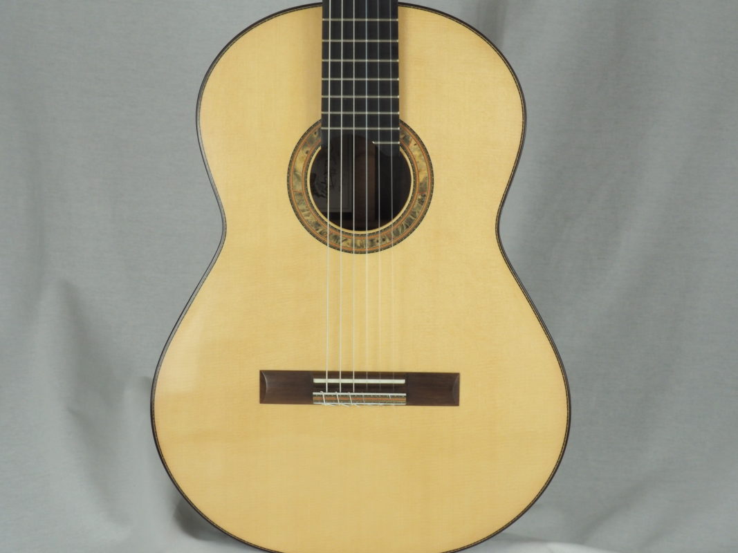 Classical concert guitar