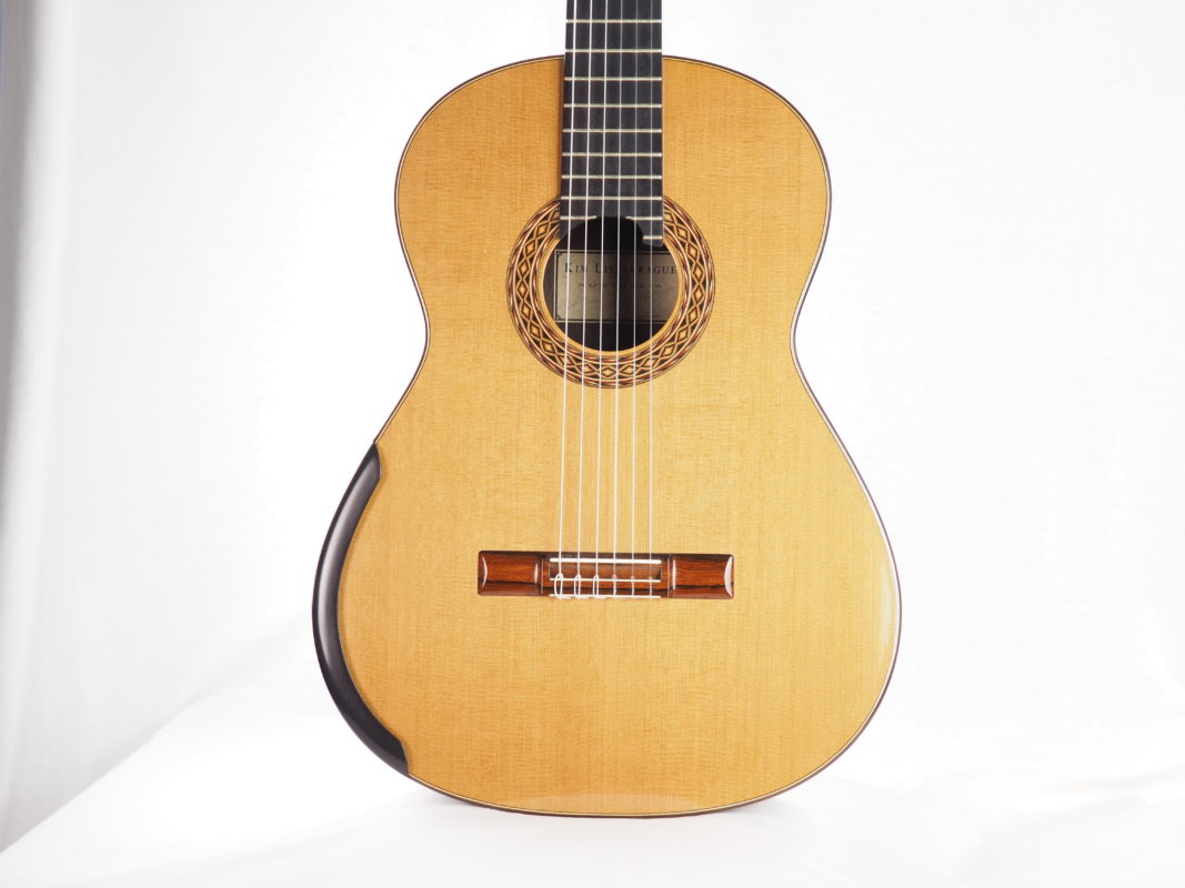 Classical concert guitar