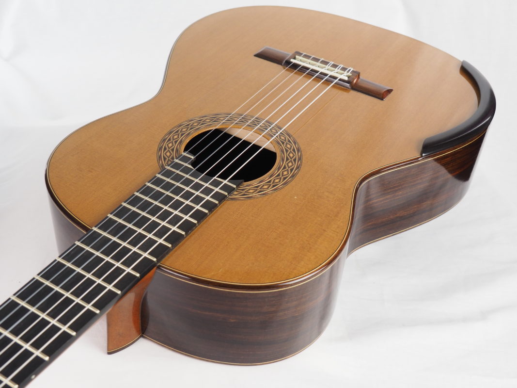 Classical concert guitar