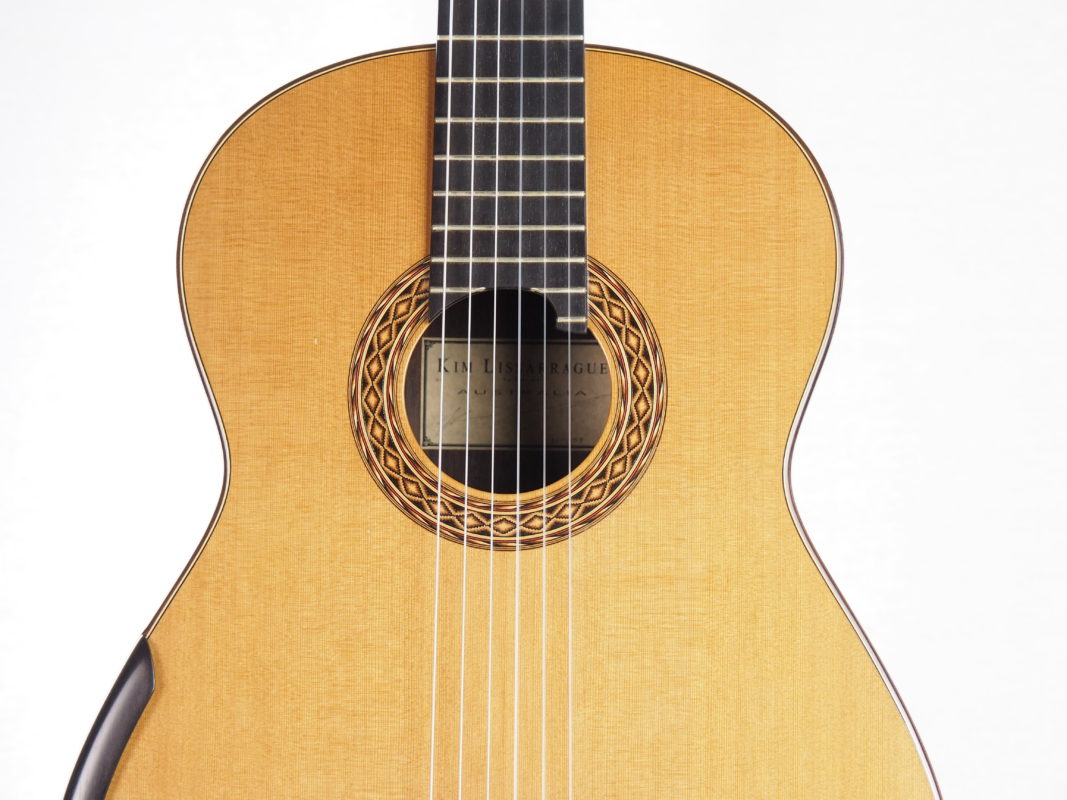 Classical concert guitar