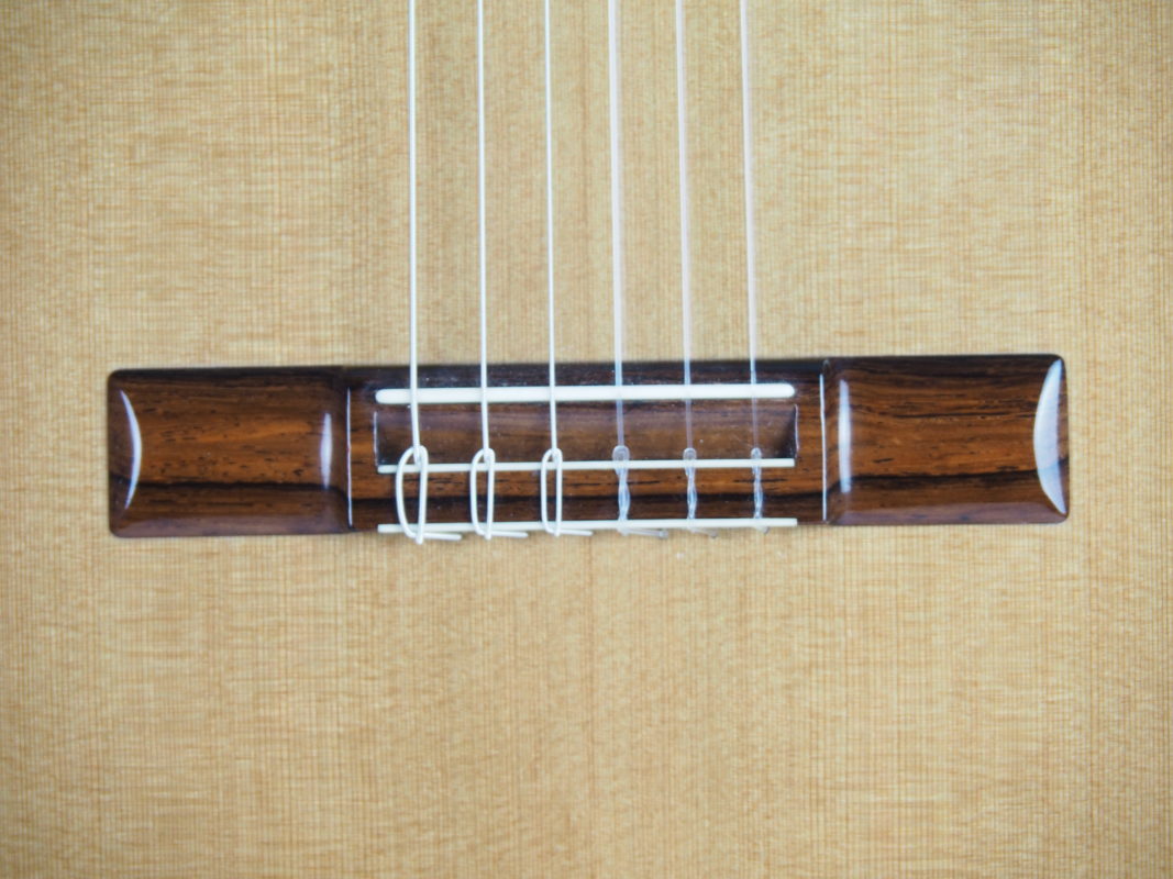 Classical concert guitar