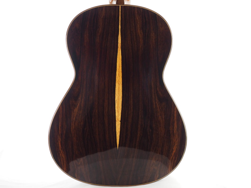 Classical concert guitar