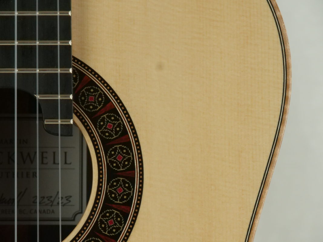 Classical concert guitar
