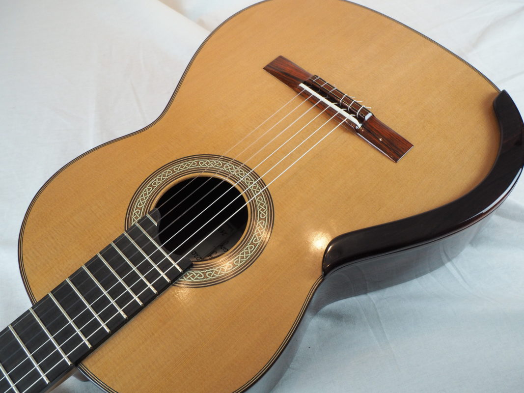 Classical concert guitar