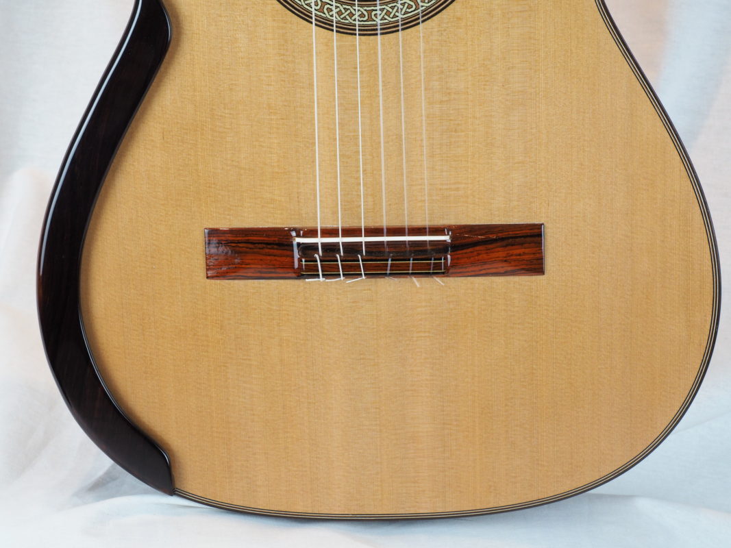 Classical concert guitar