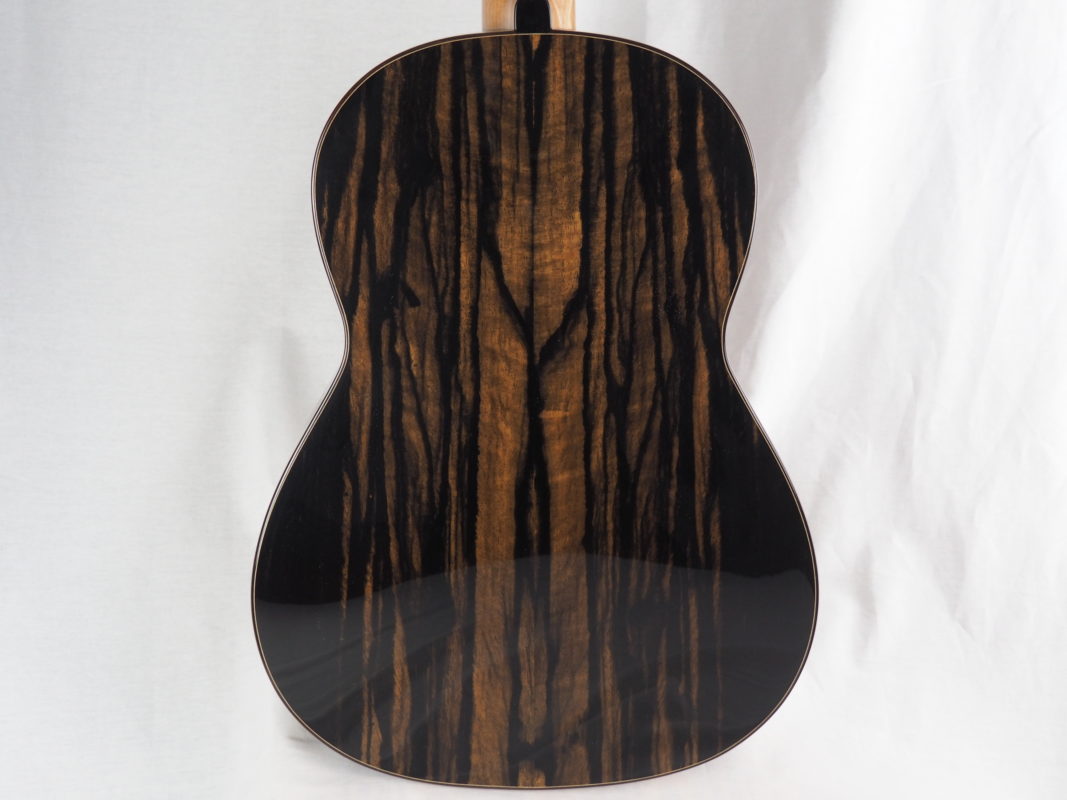 Classical concert guitar