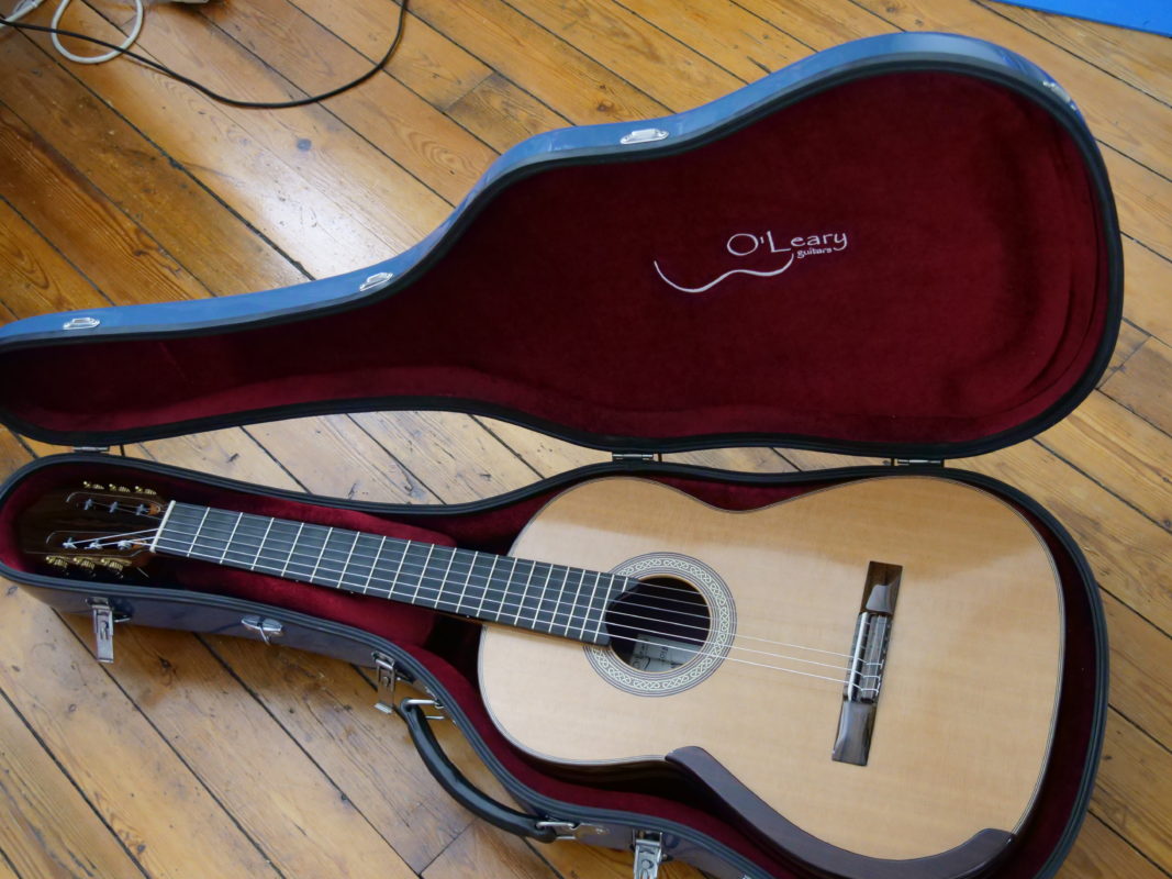 Classical concert guitar