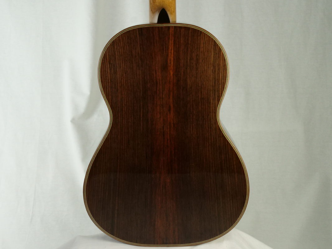 Classical concert guitar