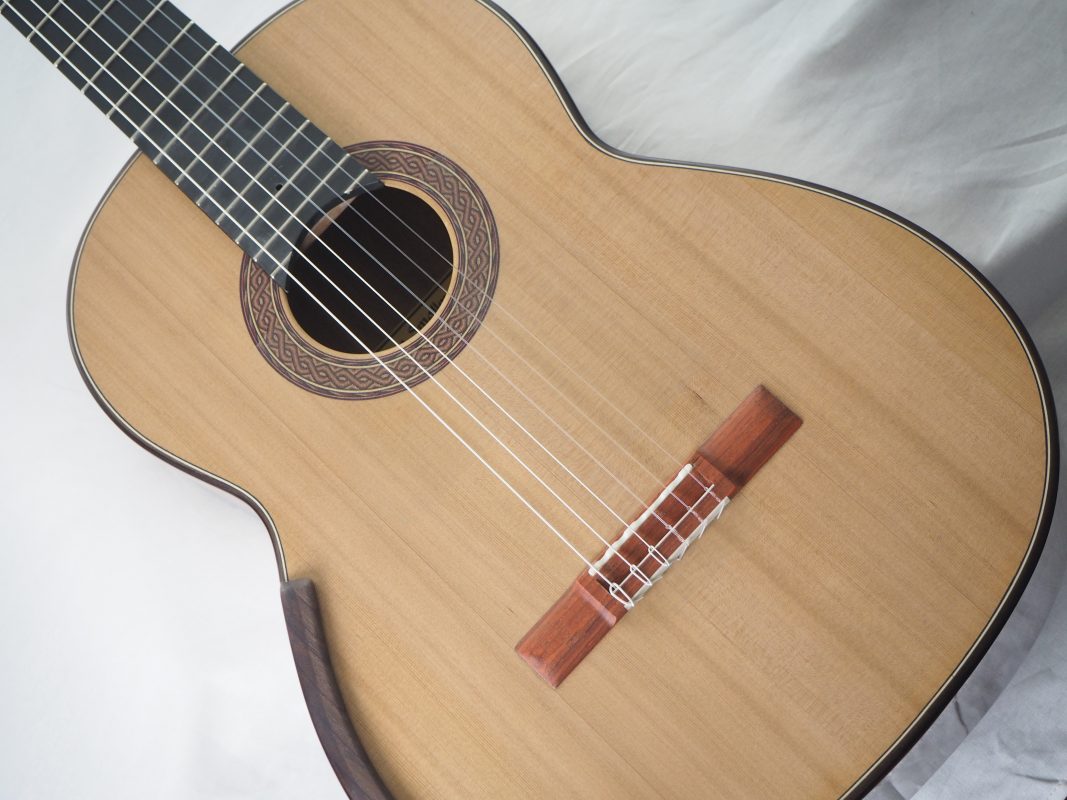 Robin Moyes luthier classical guitar