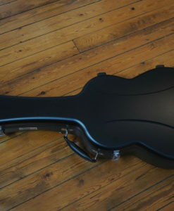 Cover Visenut Portentosa