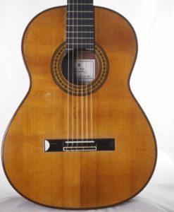 Dieter Hopf Portentosa evolucion 5043