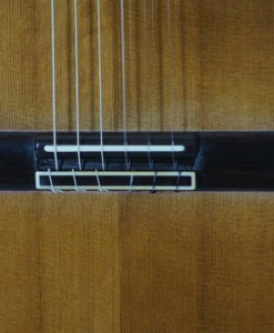 Dieter Hopf Portentosa evolucion 5043 classical guitarconcert luthier lattice