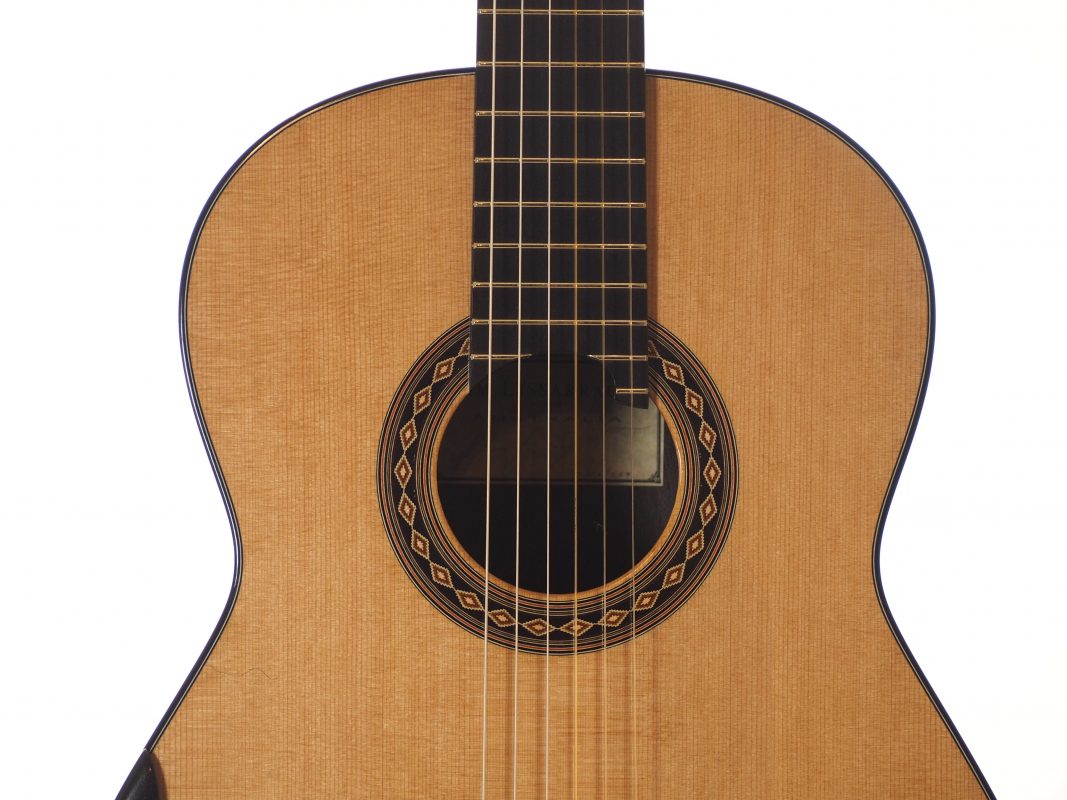 Classical concert guitar