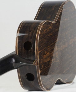 classical guitar Jeroen Hilhorst Super-concert n° 118 16HIL118-12