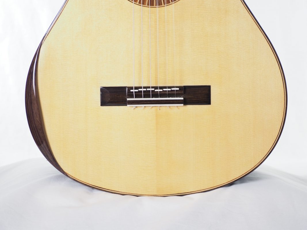 Classical concert guitar