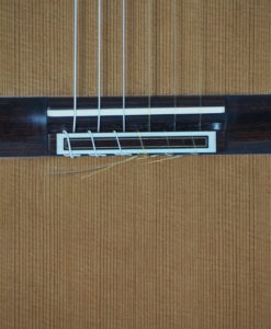 classical guitar reza safavian