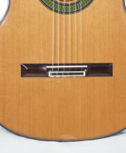 classical guitar luthier reza safavian