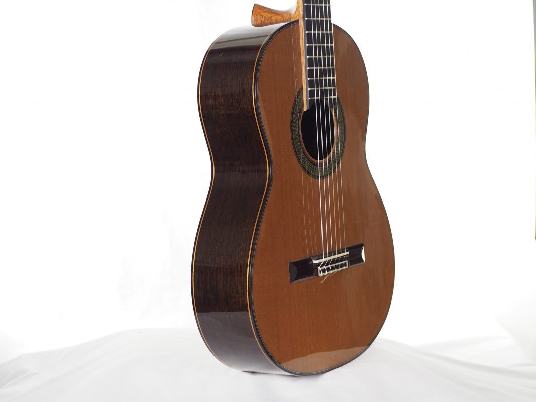 Classical concert guitar