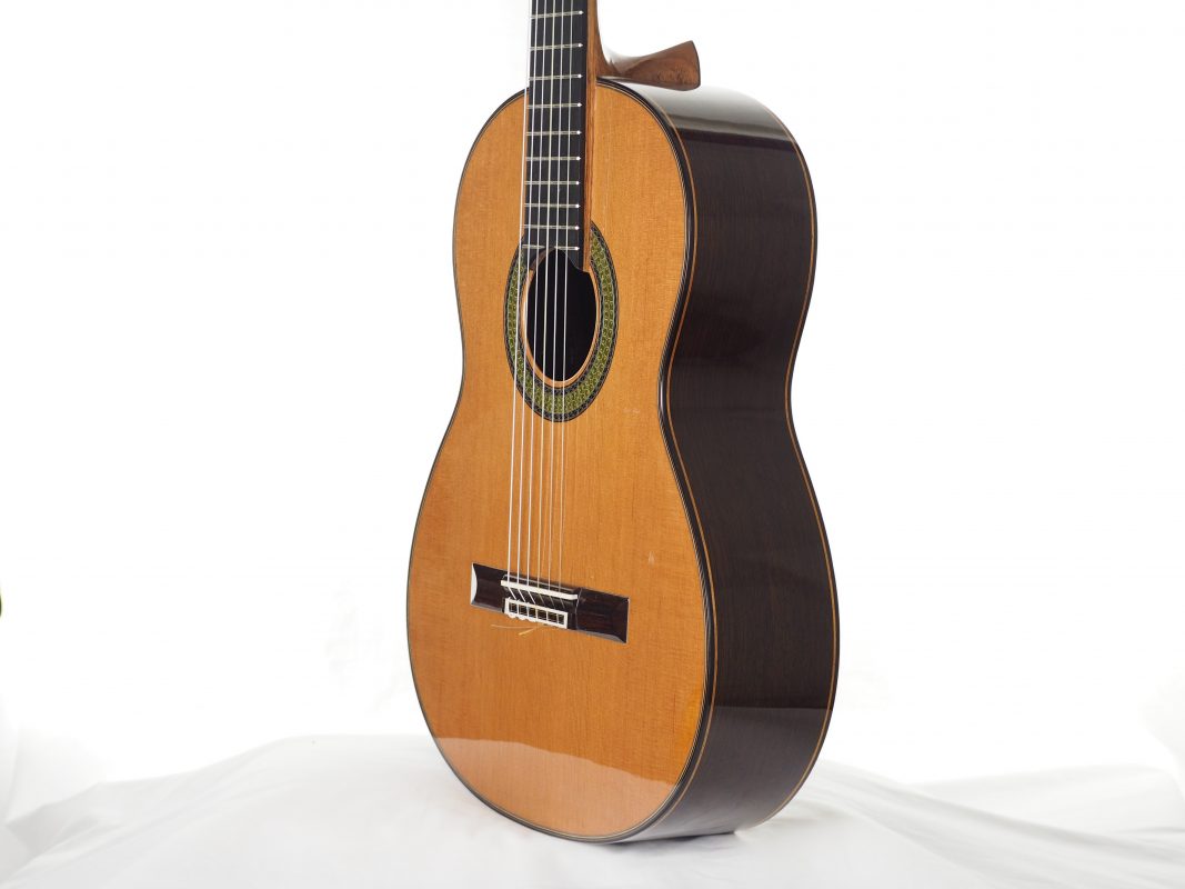 Classical concert guitar